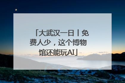 大武汉一日丨免费人少，这个博物馆还能玩AI